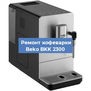 Чистка кофемашины Beko BKK 2300 от кофейных масел в Краснодаре